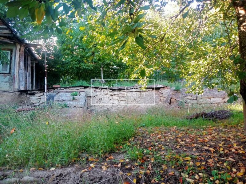 ecoimobil-property