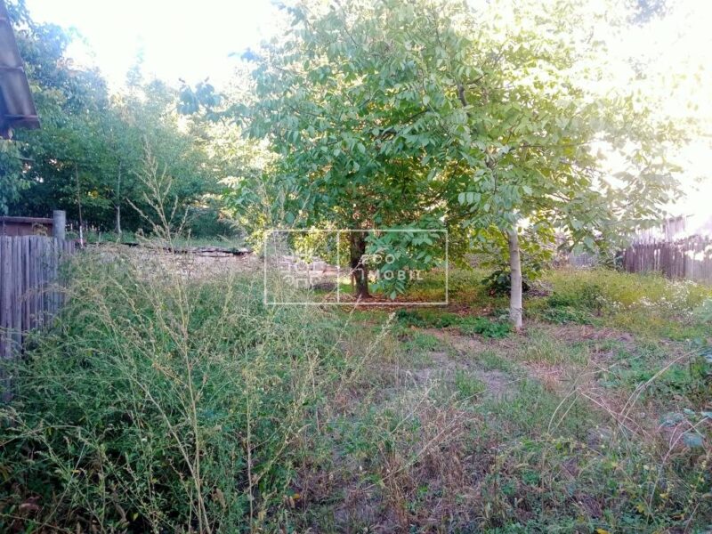 ecoimobil-property