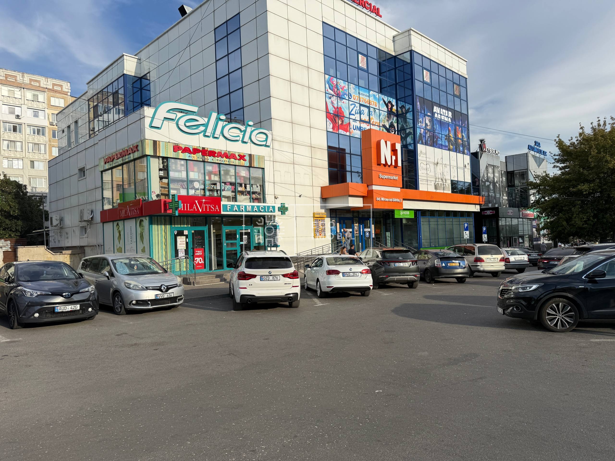 бул. Мирча чел Бэтрын