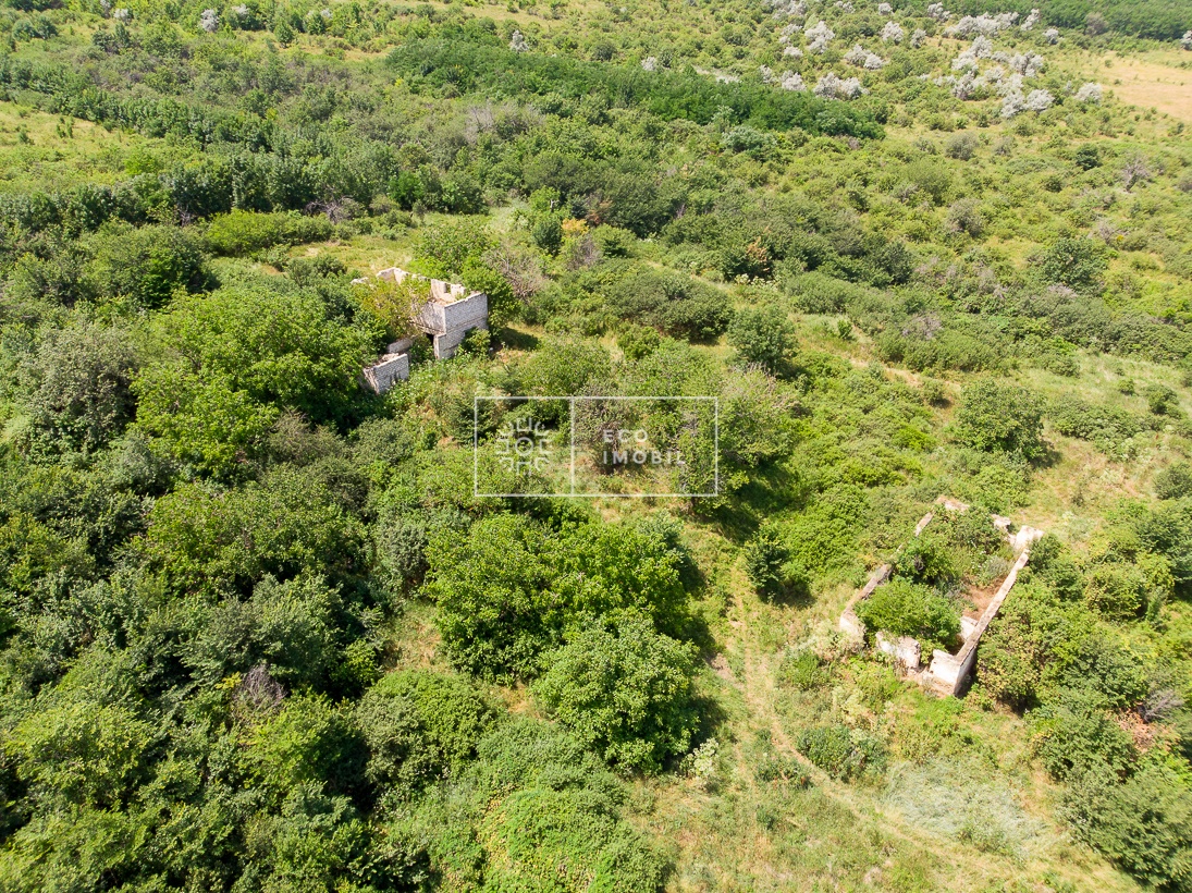 Lot, Morozeni, Codri Orheiului, 75000 €