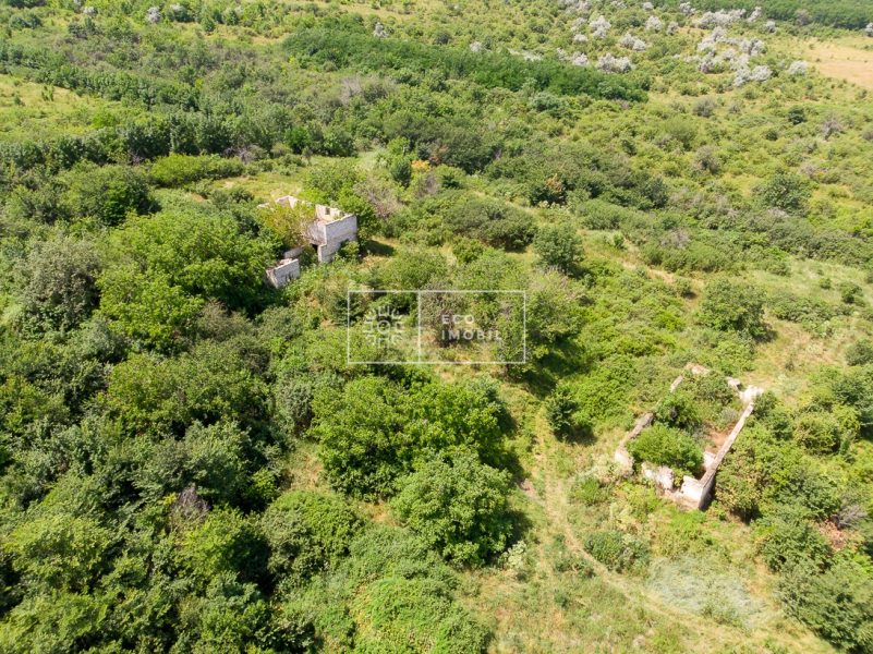 ecoimobil-property