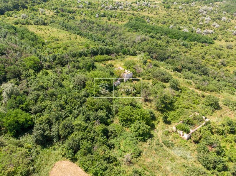 ecoimobil-property