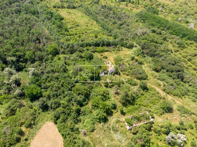 ecoimobil-property