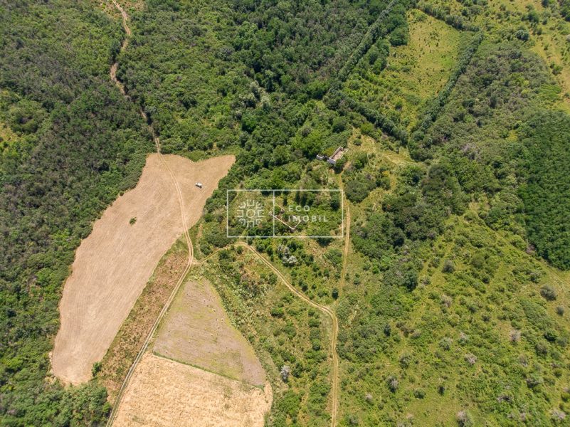 ecoimobil-property