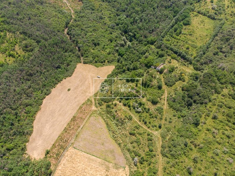 ecoimobil-property