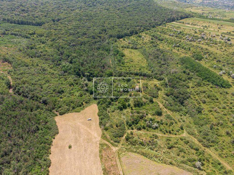 ecoimobil-property