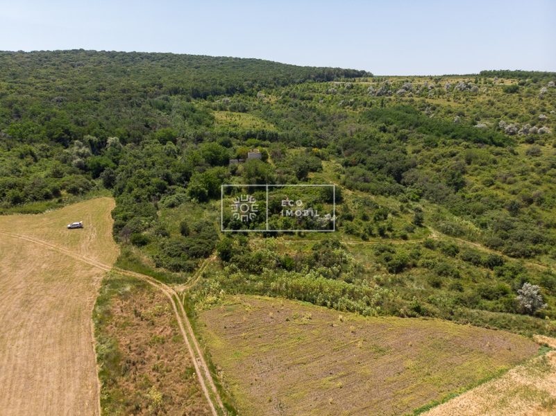 ecoimobil-property