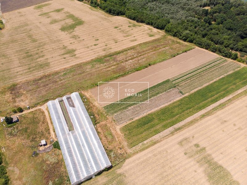 ecoimobil-property