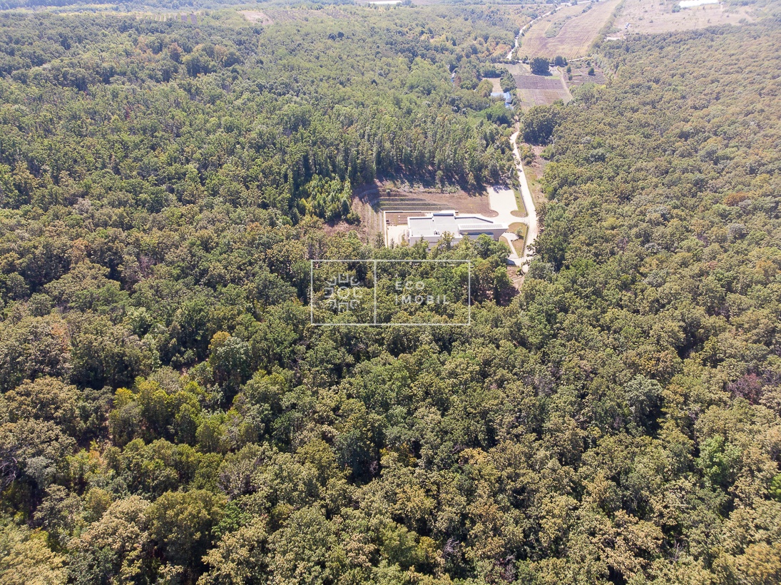 Lot, sat. Rusestii Noi, Poienita Vesela