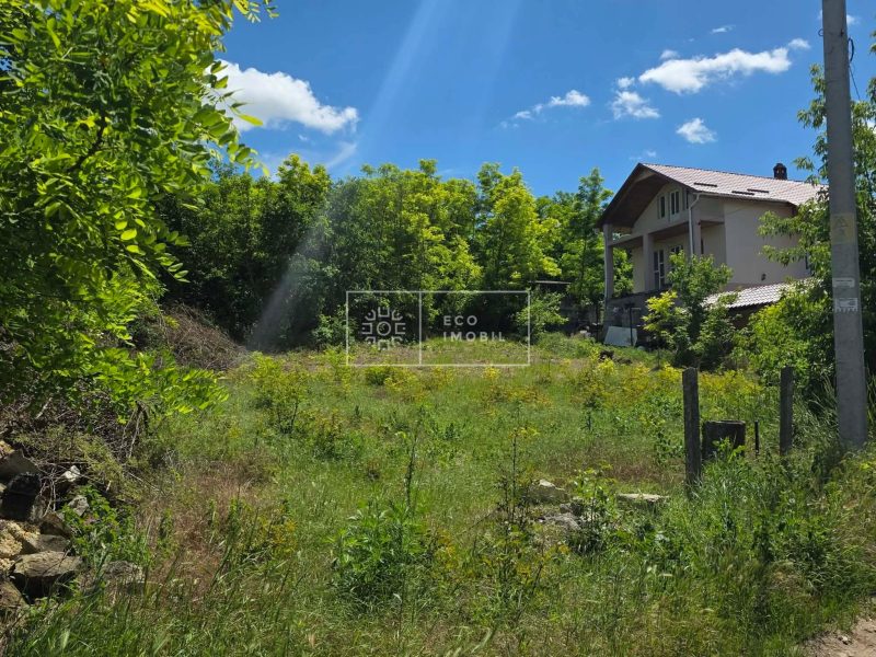 ecoimobil-property