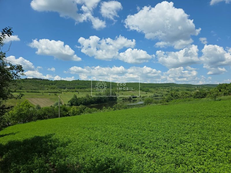 ecoimobil-property