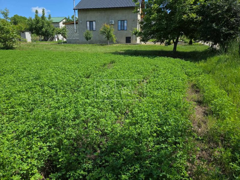 ecoimobil-property