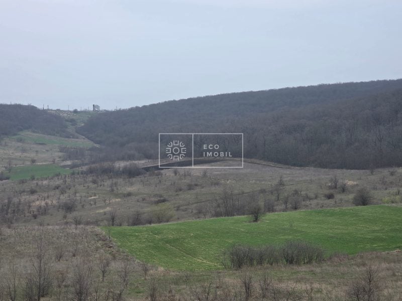 ecoimobil-property