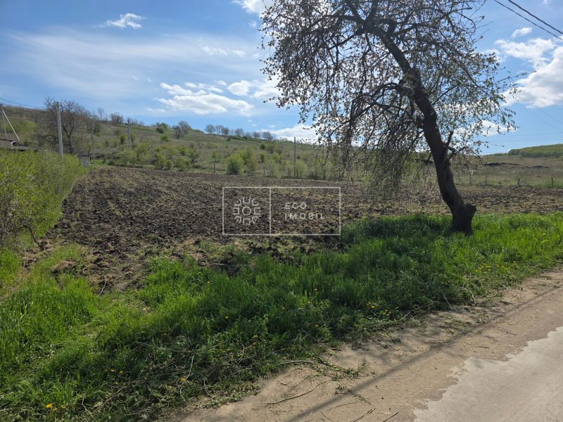 ecoimobil-property