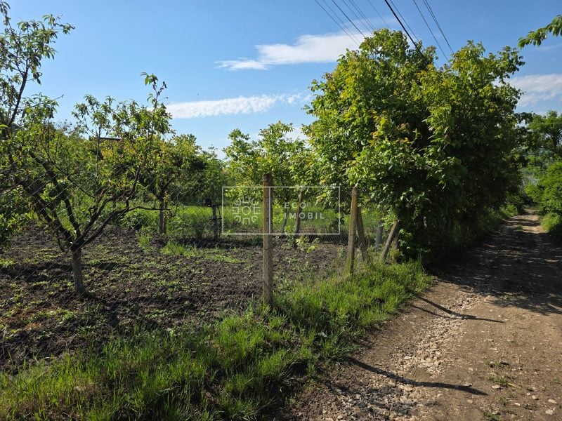 ecoimobil-property