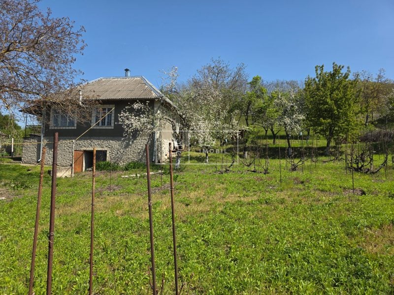 ecoimobil-property