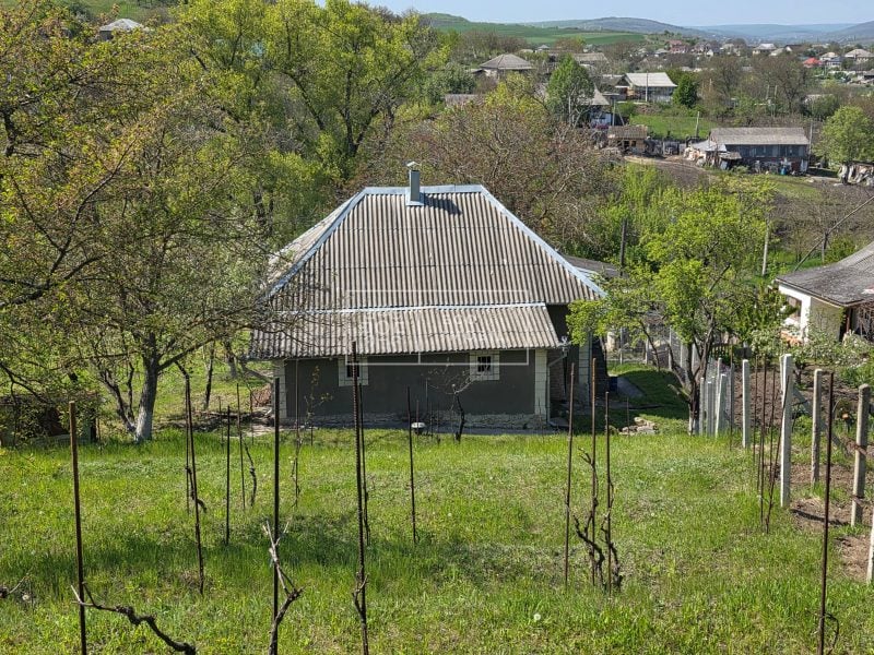 ecoimobil-property