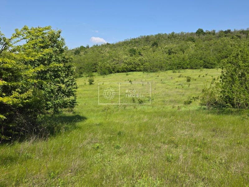 ecoimobil-property