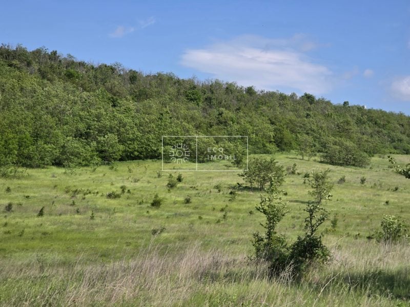 ecoimobil-property