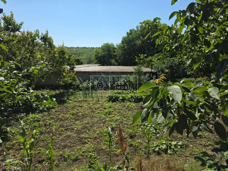 ecoimobil-property