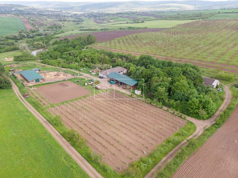 ecoimobil-property