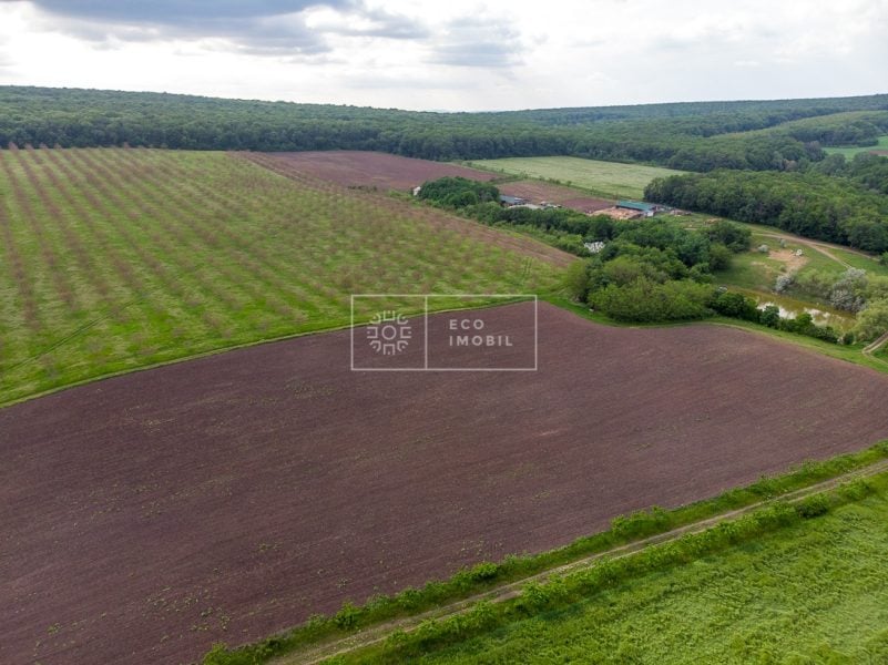 ecoimobil-property