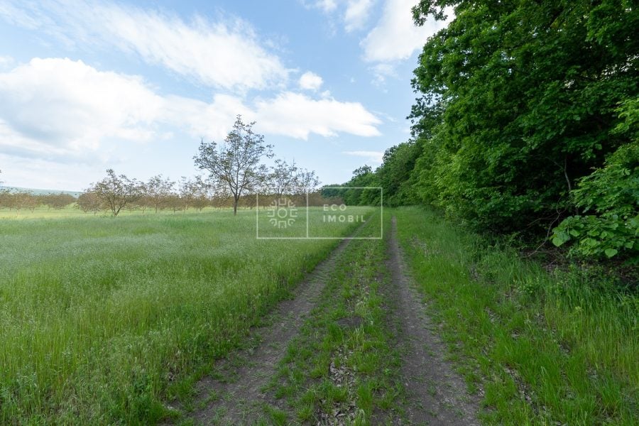 ecoimobil-property