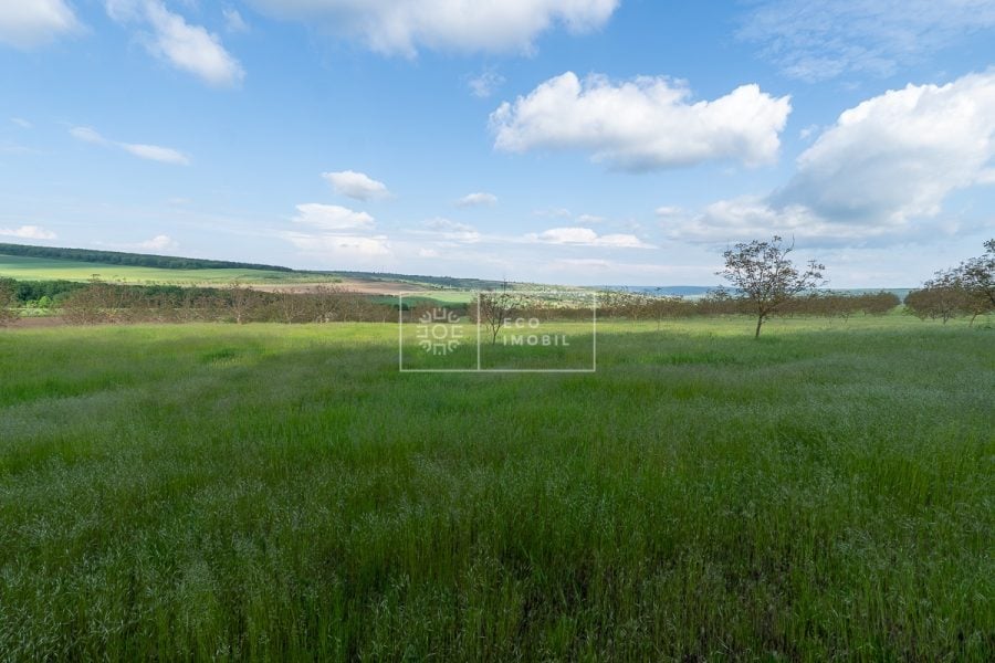 ecoimobil-property