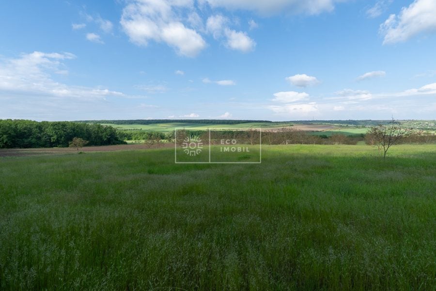 ecoimobil-property