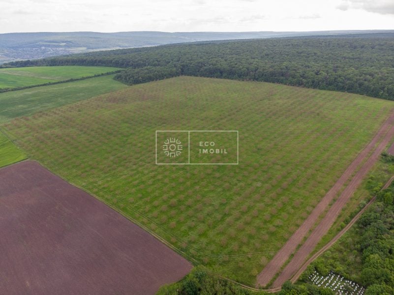 ecoimobil-property