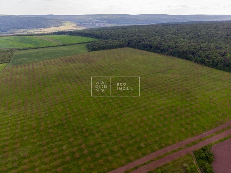 ecoimobil-property