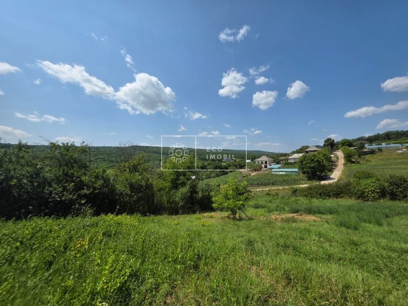 ecoimobil-property
