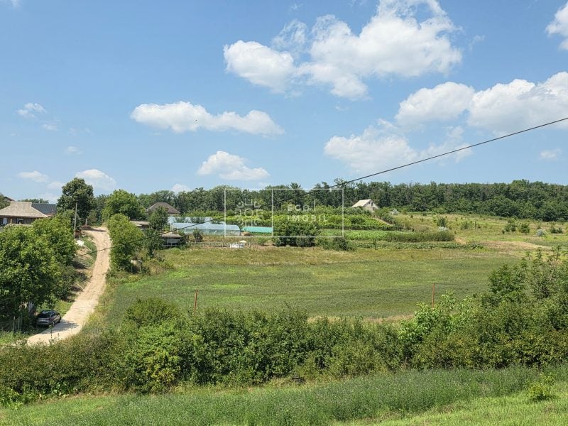 ecoimobil-property