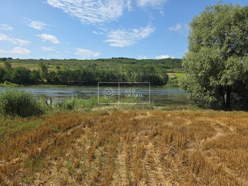 ecoimobil-property