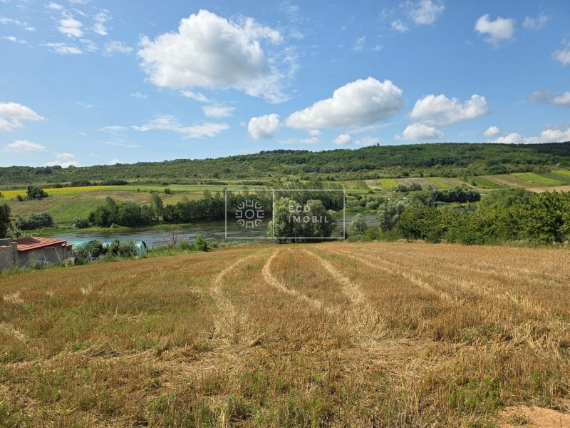 ecoimobil-property