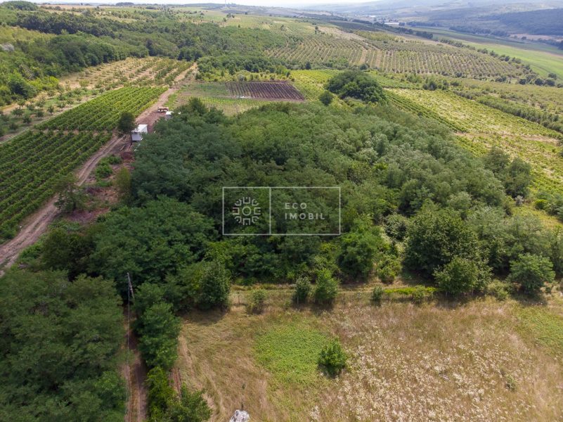 ecoimobil-property