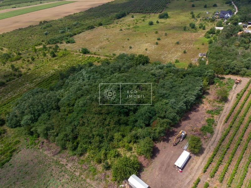 ecoimobil-property