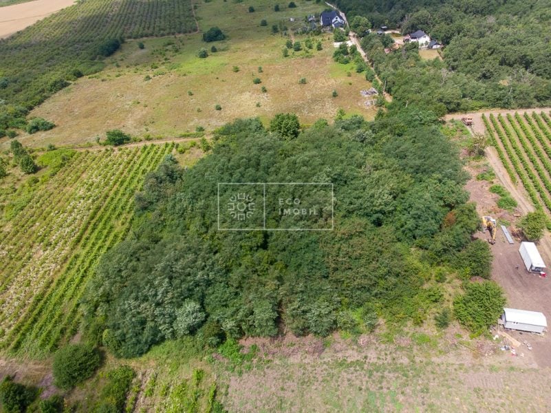 ecoimobil-property