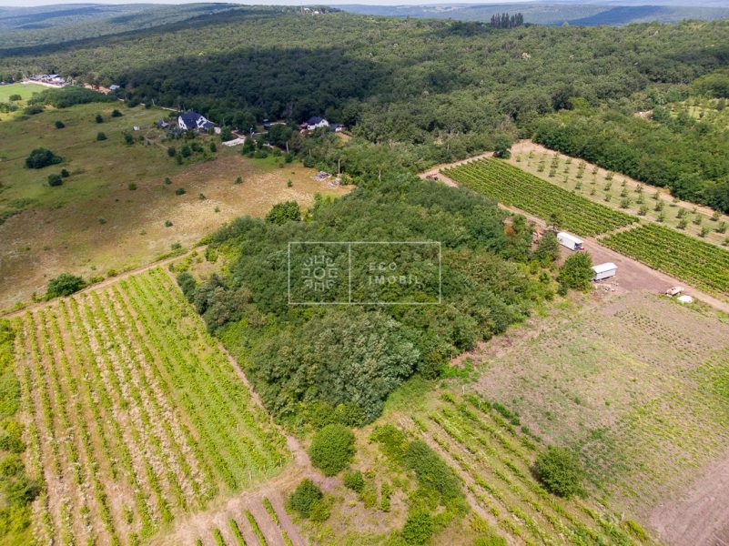 ecoimobil-property