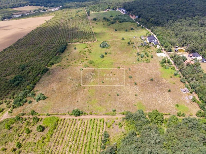 ecoimobil-property