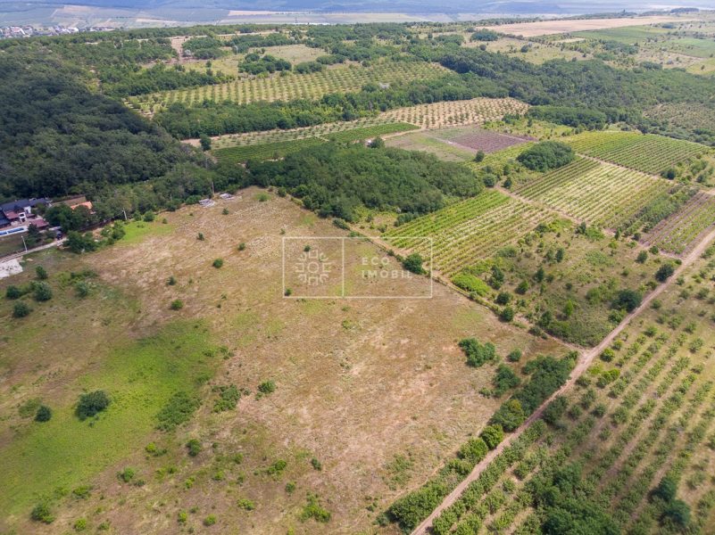 ecoimobil-property