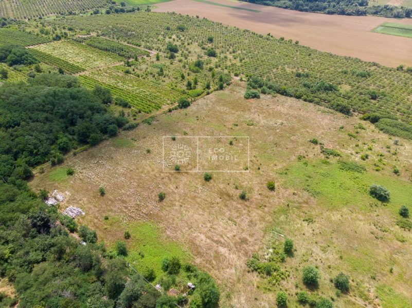 ecoimobil-property