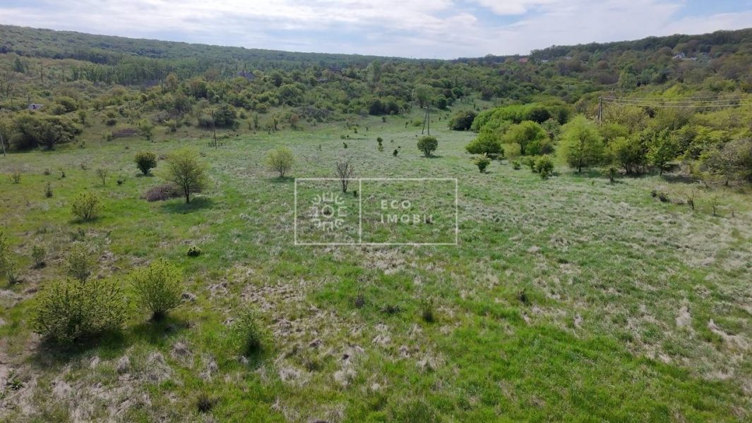 ecoimobil-property