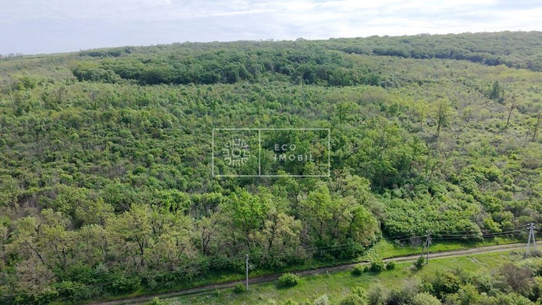 ecoimobil-property