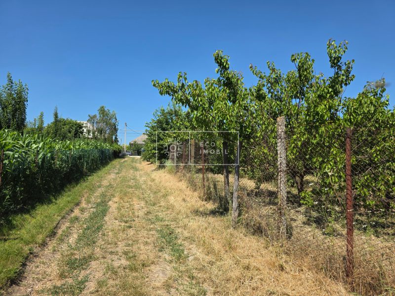 ecoimobil-property