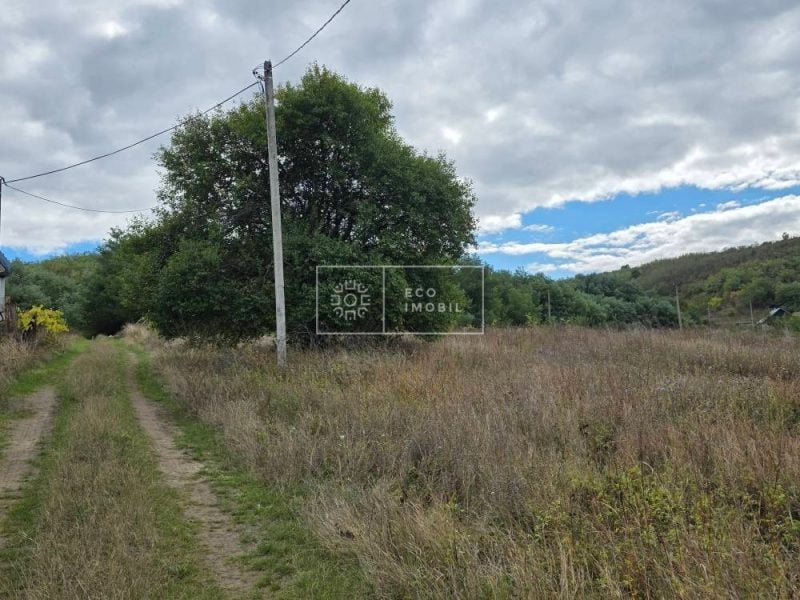 ecoimobil-property