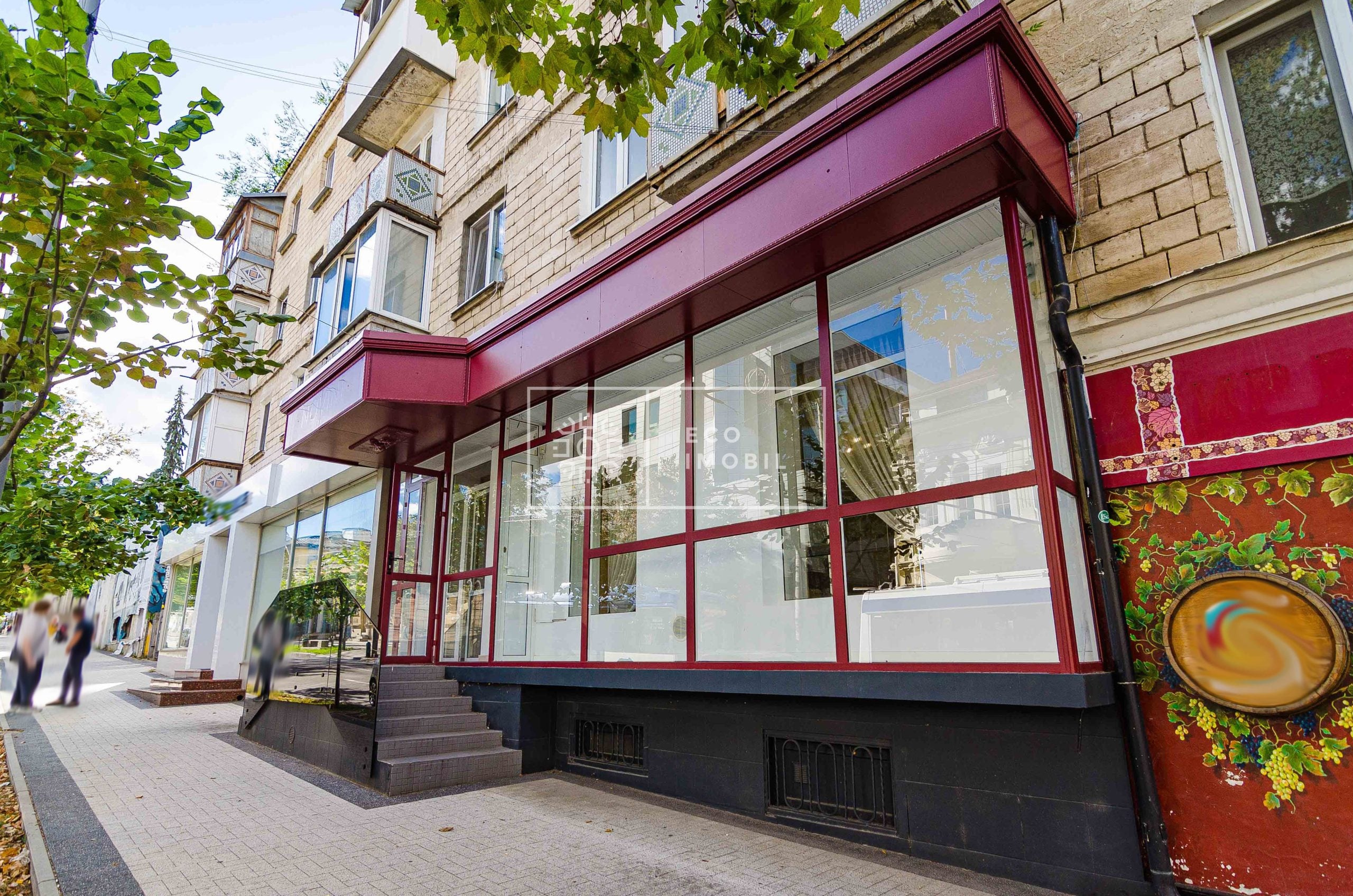 str. Alexandr Pușkin